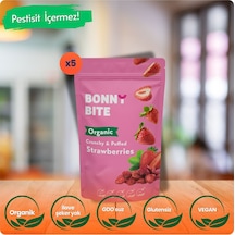 Kurutulmuş Çıtır Çilek Atıştırmalığı 5'li Paket 18gr 5 Diğer