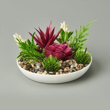 Dekor Aranjman Sukulent - Asorti - 15x10 Cm Çok Renkli
