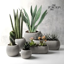 Mercan Saksı Set Dekoratif Drenajlı Çizgili Mat 6 Parça, Bej