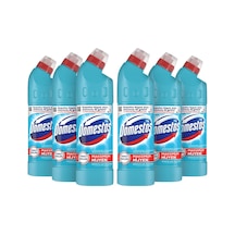 Domestos Okaliptüs Ferahlığı Çamaşır Suyu 6 x 750 ML