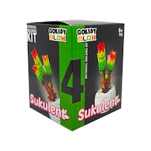 Gokidy Blok Sukulent Bitki Yapım Seti No 4 Oza61531