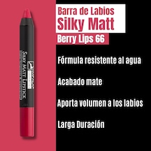 Dudak Kalemi - Silky Matt Lipstick - Uzun Süre Kalıcı & Suya Dayanıklı No 66 Berry Lips Çok Renkli