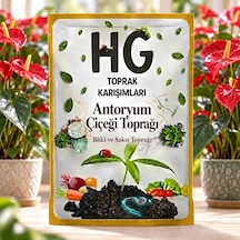 Hg Antoryum Çiçeği Toprağı 40 LT