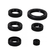 Agk Cg 125-150-200 Keçe Takımı 6 Lı