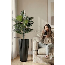 130 Cm Monstera Bitkisi Siyah Lilyum Saksıda H