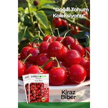 150 Adet Yerli Ata Kiraz Biber Tohumu Tatlı