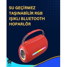 Usb/sd/aux Girişli Hoparlör 10 W 2 Çift Sürücü