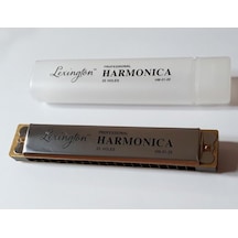 Cremonia Hm0120 Mızıka 20 Delik Professıonal Harmonıca Şeffaf Kut
