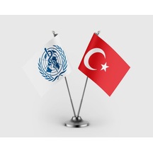 Diğer