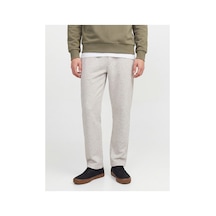 Jack & Jones Jpstbıll Barron Sweat Pants Noos gri