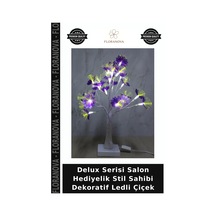 Çok Renkli