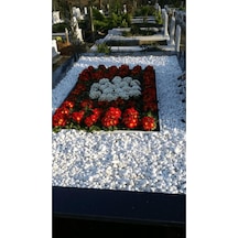 Asenya Mezar Taşı 11 Kg 2-4 Cm Beyaz Dolomit Taş Dere Çakıl Taşı Bahçe Süs Taşı Mezar Süsleme Taşı Diğer