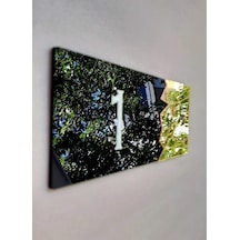 Black Pearl Serisi Kapı Numarası (500587798)