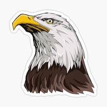 Araba Için Kartal Oto Sticker Yapıştırması Etiket 17Cm S2