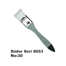 Südor Seri 8053 Zemin Fırçası No 30