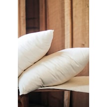 2'li%100 Doğal Organik Yün Yastık 50x70 Cm, Yün Dolgulu Uyku Yastığı, Beyaz Genel