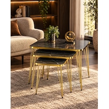 Odera Bendir Siyah Mermer Desenli Orta Sehpa Ve Zigon Sehpa 4'lü Set Metal Tel Ayaklı Modern Retro Salon Sehpası Diğer