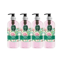 Eyüp Sabri Tuncer Doğal Zeytinyağlı Sıvı Sabun Manolya Çiçeği 500 Ml X 4 Adet