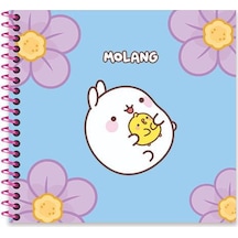 Molang 16 15 50 Yp. Çiz. Spiralli Sert Kapak Defter - Mavi Çok Renkli