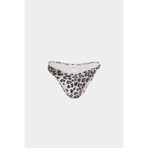 Leopar