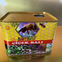 Avrasya Arıcılık Süzme Bal Tenekesi Desenli - 3 Kg