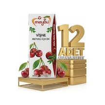 Meysu Nektar Vişne 12x200 Ml