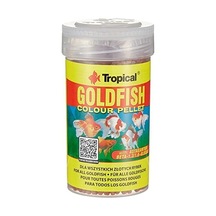 Balık Balığı İçin Yemekler 100 Ml Yemekler Balık Balık Ye Akvaryum Akvaryum Balığı Kase