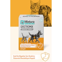 Mixtura Pharma Gastromix Mide Ve  Sistemini Kedi Ve Köpek Mide Koruyucu