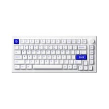 Akko MOD 007B PC Blue on White V3 Piano Pro Switch RGB Kablosuz Hotswap Mekanik Oyuncu Klavye