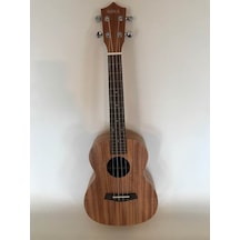Ahola Profesyonel Maun Ağacı 26 Inc Tenör Ukulele Gitar