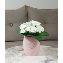 Vazoda Beyaz Yapay Çiçek Dekoratif Pembe Petek Desenli Poliresin Vazo Dahil 8 x 8 x 15 CM