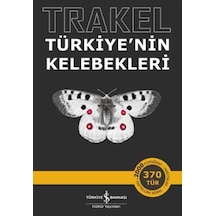 Trakel - Türkiye'nin Kelebekleri - Aıaı-894177