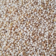 Ak Darı Muhabbet Kuşu Yemi 1 KG