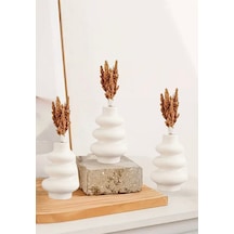 Pinterest 3lü İskandinav Tarzı Bohem Vazo Hediyelik Pampas Vazosu Set Vazo Dekoratif Eşya Diğer