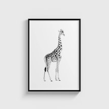 Giraffe Tablo Çerçeveli Poster Duvar Dekorasyonu Siyah Çerçeveli Tablo Siyah Çerçeveli Tablo Dn11d150sıyah