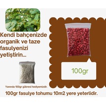 Fasulye