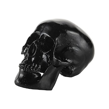 Suntek Reçine Çoğaltma Sanat İnsan Kafatası Modeli Parti