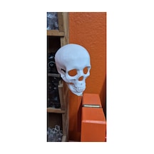 3d Akvaryum Dekoru Kuru Kafa