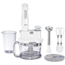 Regal RMBS 1000 G 1000 W Multiblender Set