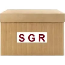 Sgr 56387 Silecek Motoru 288004287r