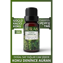 AURAN Yağmur Ormanları Esansiyel Uçucu Koku Yağı Buhurdanlık Yağı