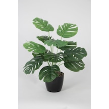 Yapay Devetabanı Monstera Bitkisi Siyah Saksıda 45 Cm