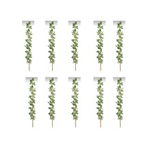 Rüzgar Yapay Çiçekçilik 220 Cm 10 Adet Bambu Yeşil