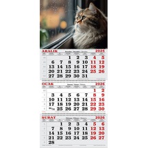 2026 Yılı Gemici Takvimi- Yağmurlu Hava Ve Pencere Kenarındaki Kedi