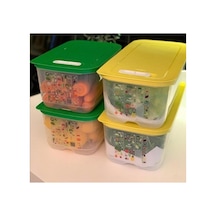 Sera Set. Renkli