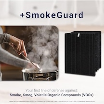 Winix Filtre S +smokeguard C545 İçin