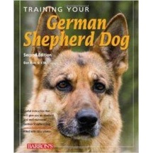 Training Your German Shepard Dog