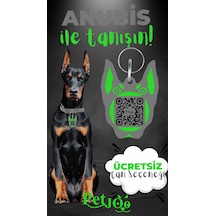 Petjoo 30.Anubis Yeşil-Gri Qr'lı Köpek Künyesi