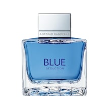 Blue Seduction Erkeklere Özel Edt Kalıcı Parfüm 100 Ml Diğer