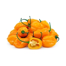 Nadir Ithal Çok Acı Sarı Sos Biberi Tohumu Ekim Seti 5 Tohum Saksı Toprak Kombin